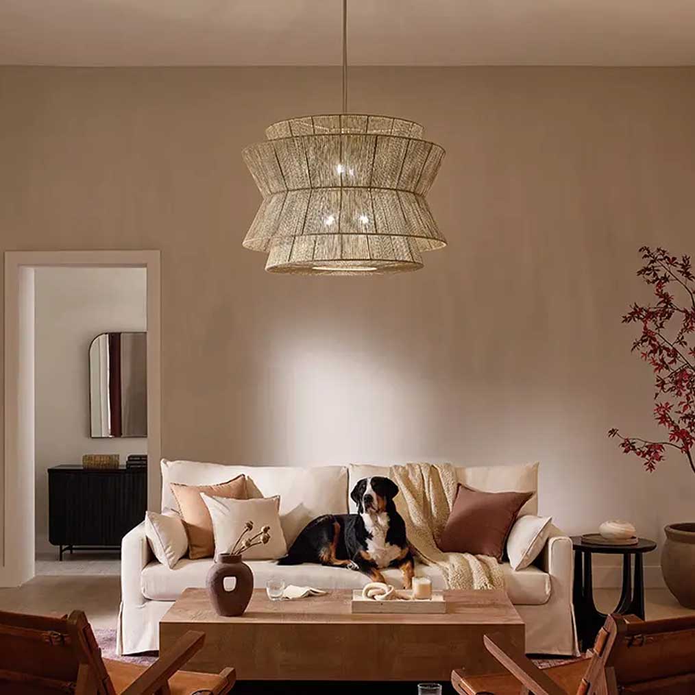 Organic, beautiful chandelier in a simple living room. A dog is sitting under the chandelier on the couch.
