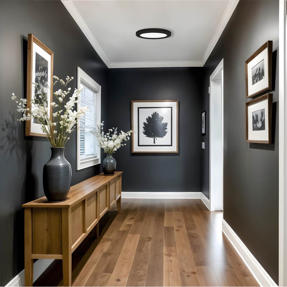 Access Lighting Slim Led Flush Mount