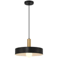 Access Lighting 23798-BWA Black,Antique Brushed Brass 1 Light Pendant Image 1