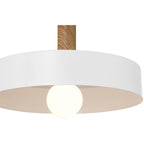 Access Lighting 23798-WH/WGN White,Wood Grain 1 Light Pendant Image 6