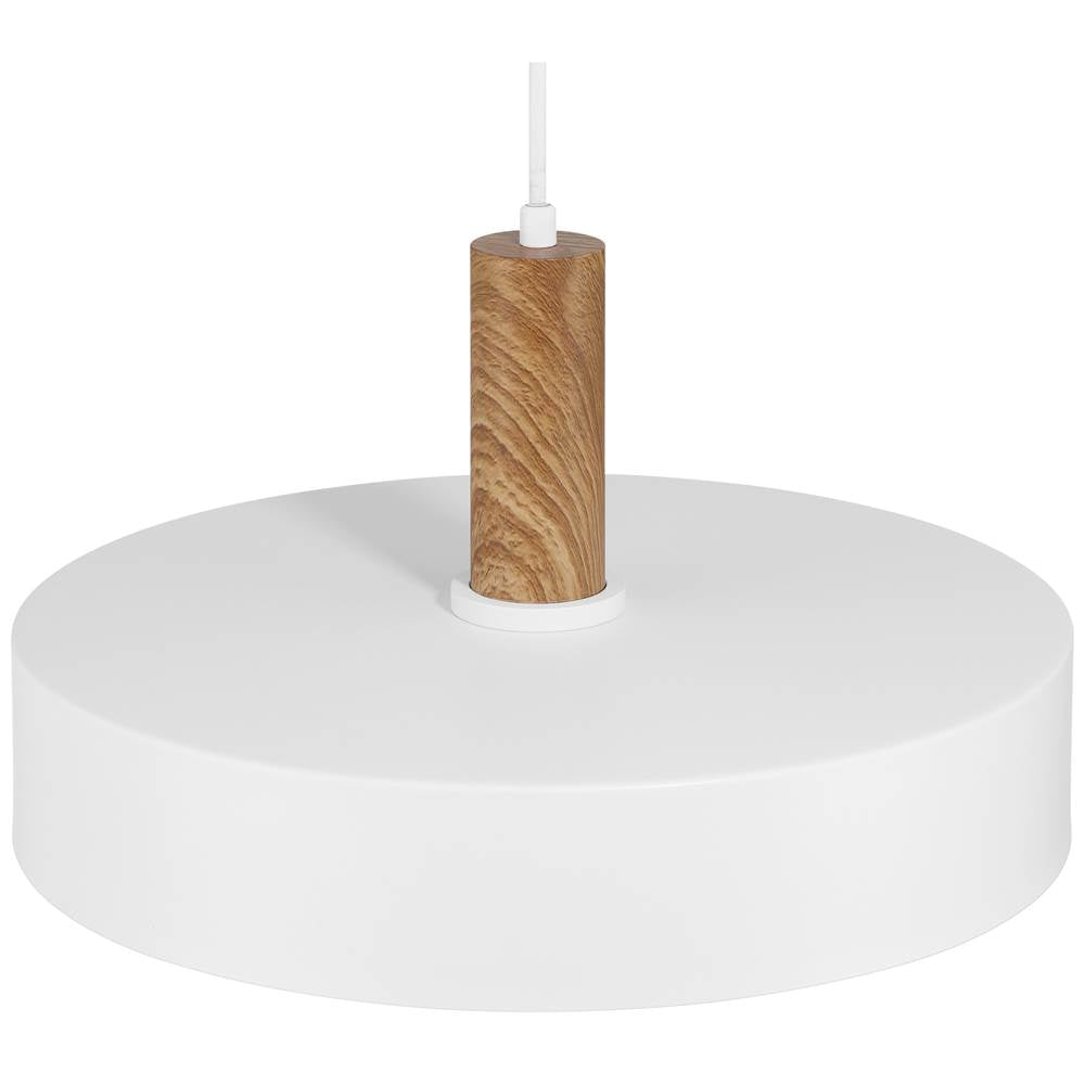 Access Lighting Slate 1 Light Pendant