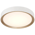 Access Lighting Malaga 3cctled Flush Mount