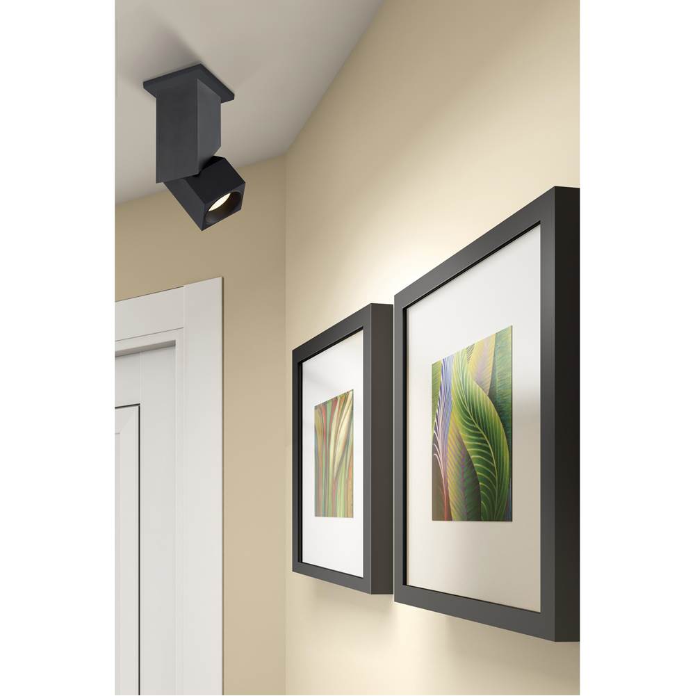 Access Lighting Transformer Dual Voltage Adjustable Led Spotlight