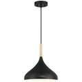 Access Lighting 52086-BL/WGN Black 1 Light Pendant Image 1