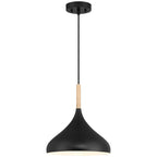 Access Lighting 52086-BL/WGN Black 1 Light Pendant Image 1
