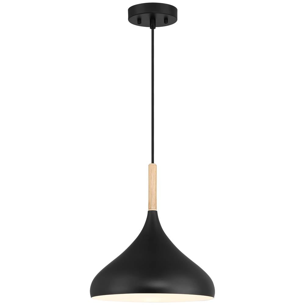 Access Lighting 52086-BL/WGN Black 1 Light Pendant Image 1