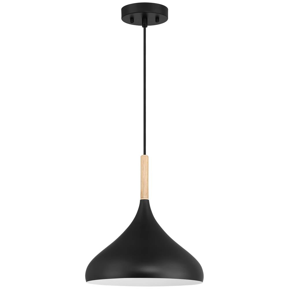 Access Lighting 52086-BL/WGN Black 1 Light Pendant Image 2