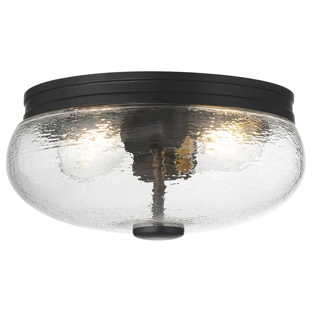 Access Lighting 63019-MBL/CLR Matte Black 2 Light Flush Mount Image 1