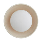 Arteriors Home DA49003 Ivory Stained Crackle 1 Light/ivory Stained Crackle Ceramic/frosted Glass Image 2