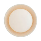 Arteriors Home Glaze 1 Light/ivory Stained Crackle Ceramic/frosted Glass