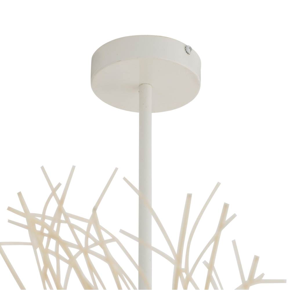 Arteriors Home DLS15 Bleached,White Kauai Chandelier Image 3