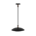 Arteriors Home  1 Light/blackened Iron/frosted Glass/gray Wash Wood