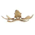 Arteriors Home DFI07 Vintage Brass,Vintage Brass Farah Flush Mount Image 1