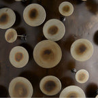 Arteriors Home DMI16 Burnt Iron,Bronze Rizzo Pendant Image 4