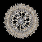 Allegri By Kalco Lighting 047355-038-FR001 Brushed Champagne Gold Farfalle 28-in 18 Light Socket Brushed Champagne Gold/clear Chandelier Image 3