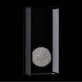 Allegri By Kalco Lighting 091322-052-FR001 Matte Black Esterno Cristallo 22-in 1 Light Led Matte Black (fluorocarbon)/clear Outdoor Wall Sconce Image 1