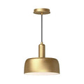 Alora Lighting Adriano 10-in Brushed Gold 1 Light Pendant