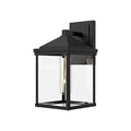 Alora Lighting Larchmont 9-in Clear Glass/textured Black 1 Light Exterior Wall Sconce