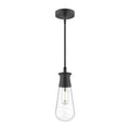 Alora Lighting Marcel 4-in Clear Bubble Glass/textured Black 1 Light Exterior Pendant