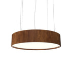 Accord Lighting  Cylindrical Accord Pendant 1037.06