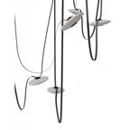 Avenue Lighting Fremont Belt 7-light 826''l Pendant In Black/white Glass Disc