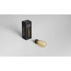 Buster + Punch BB-TD-E26-ND-GO-B Gold Buster Bulb / Gold Image 2