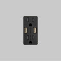 Buster + Punch NSC-02386  Outlet Module / Duplex  And  2 Usb-a / Black Image 1