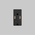 Buster + Punch NSC-02386  Outlet Module / Duplex  And  2 Usb-a / Black Image 1