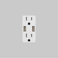 Buster + Punch NSC-14387  Outlet Module / Duplex  And  2 Usb-a / White Image 1