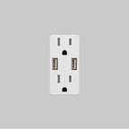 Buster + Punch NSC-14387  Outlet Module / Duplex  And  2 Usb-a / White Image 1