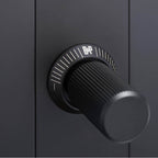Buster + Punch NDK-024300 Black 2g Dimmer / Led / Linear / With Logo / Black Image 2