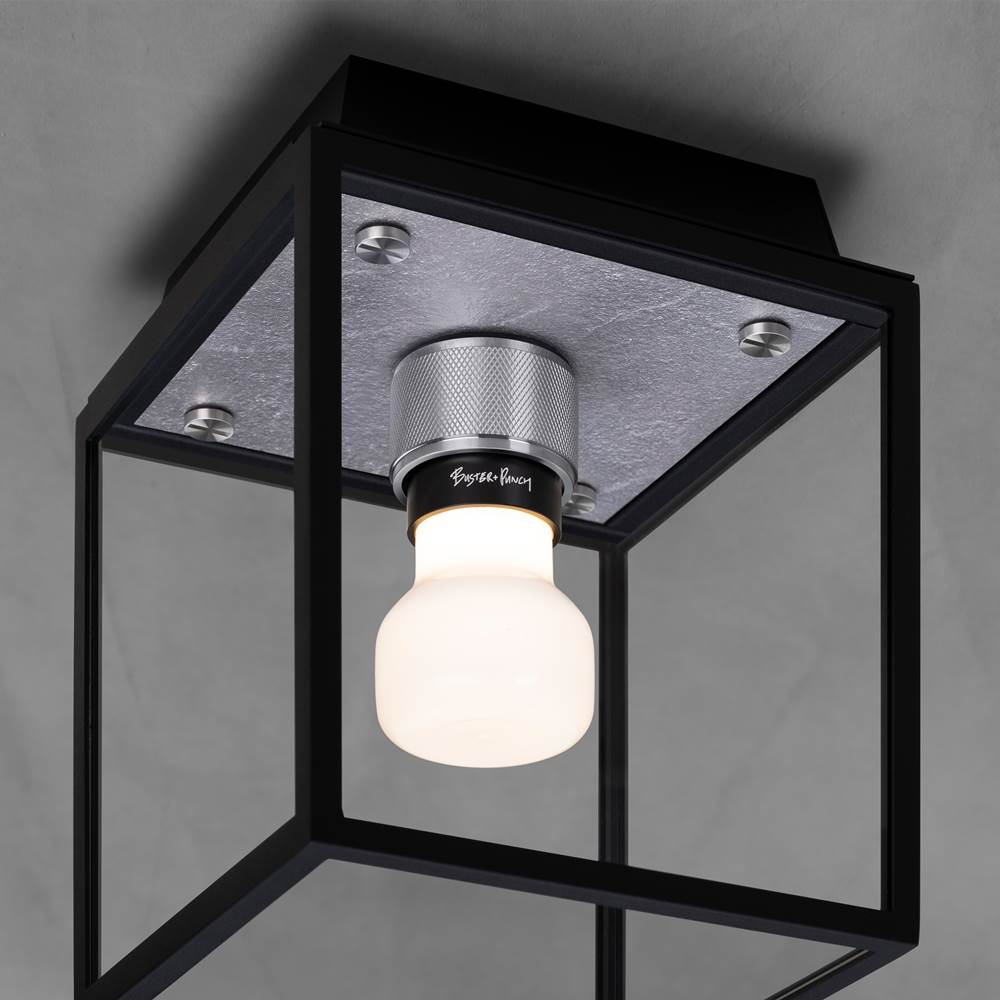 Buster + Punch NCA-02683 Steel Caged Wet / Ceiling / Small / Steel Image 2