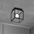 Buster + Punch NCA-02683 Steel Caged Wet / Ceiling / Small / Steel Image 1