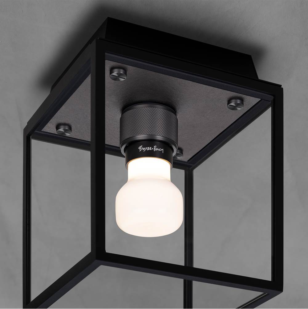 Buster + Punch NCA-02684 Gun Metal Caged Wet / Ceiling / Small / Gun Metal Image 2