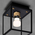 Buster + Punch NCA-063538 Black,Brass Caged Wet / Ceiling / Small / Black / Brass Image 3
