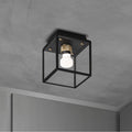 Buster + Punch NCA-063538 Black,Brass Caged Wet / Ceiling / Small / Black / Brass Image 1