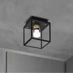 Buster + Punch NCA-063538 Black,Brass Caged Wet / Ceiling / Small / Black / Brass Image 1
