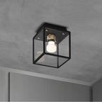 Buster + Punch  Caged Wet / Ceiling / Small / Black / Brass