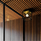 Buster + Punch NCA-14682 Brass Caged Wet / Ceiling / Small / Brass Image 2