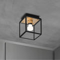 Buster + Punch NCA-14682 Brass Caged Wet / Ceiling / Small / Brass Image 1