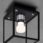 Buster + Punch  Caged Wet / Ceiling / Small / Black / Steel