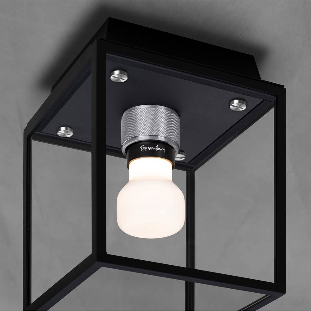 Buster + Punch  Caged Wet / Ceiling / Small / Black / Steel