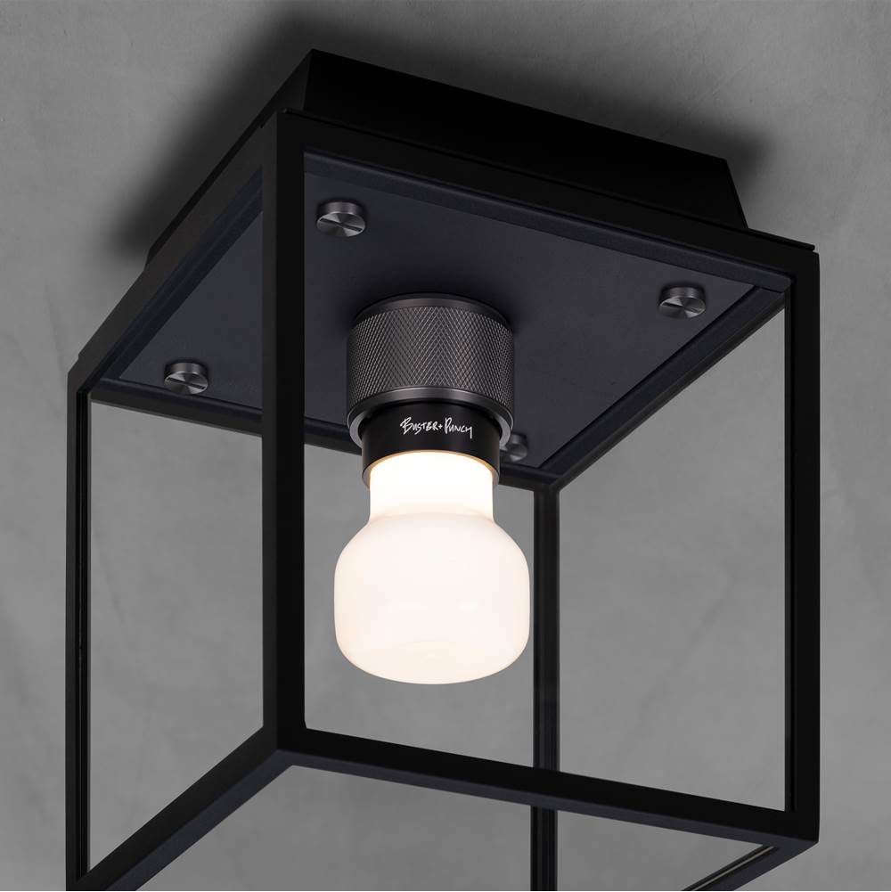 Buster + Punch NCA-533537 Black,Gun Metal Caged Wet / Ceiling / Small / Black / Gun Metal Image 2