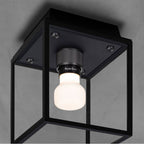Buster + Punch NCA-533537 Black,Gun Metal Caged Wet / Ceiling / Small / Black / Gun Metal Image 2