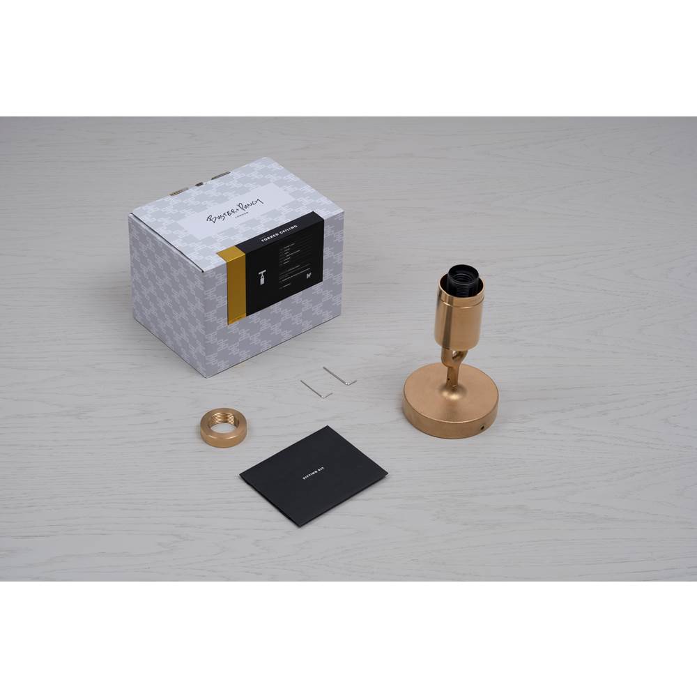 Buster + Punch NFC-823206 Brass Forked Ceiling / Globe / Opal / Large / Brass Image 2