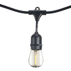Bulbrite 812483 Black 48' String Light 15 Sockets 36'' Spacing E26 Black Kit - W/1w Plastic Led S14 Clear Lamps Image 1