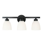 Capital Lighting Jameson 21'' W X 8.5'' H X 7.5'' E 3-light Soft White Glass Vanity In Brushed Nickel