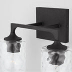 Capital Lighting Clint 13.5'' W X 10.5'' H X 6.5'' E 2-light Clear Water Glass Vanity In Black Iron
