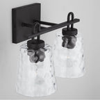 Capital Lighting Fenton 15'' W X 10.5'' H X 8'' E 2-light Vanity In Black Iron With Clear Water Glass
