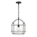 Capital Lighting Harmon 14'' W X 15'' H 1-light Pendant In Matte Black With Clear Seeded Glass And Outer Cage